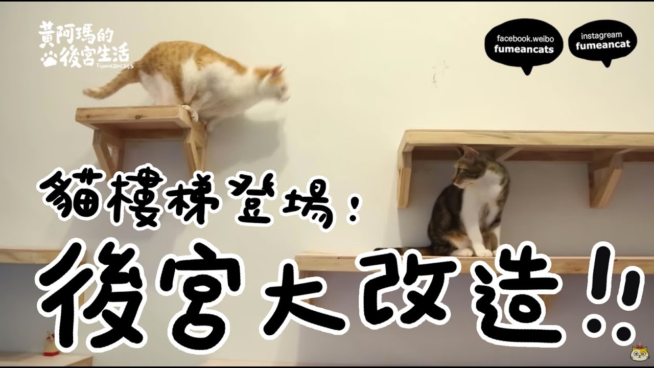 黃阿瑪的後宮生活-後宮大改造