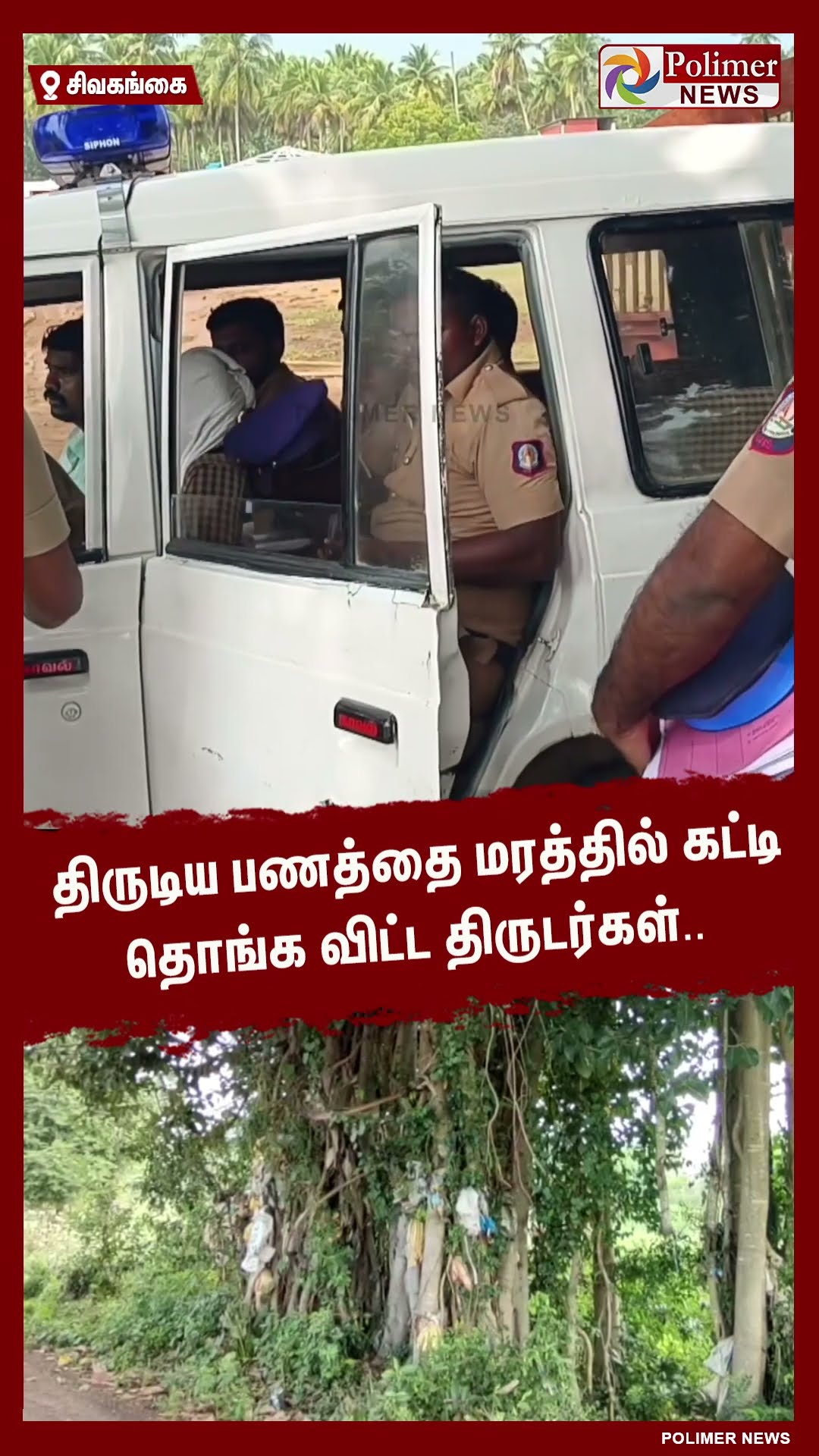 திருடிய பணத்தை மரத்தில் கட்டி தொங்க விட்ட திருடர்கள்.. #shorts