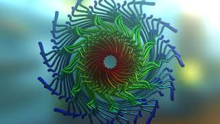 Mandala Mograph 81 | 3d Animated Mandala | Fibonacci Spirals and Swirls