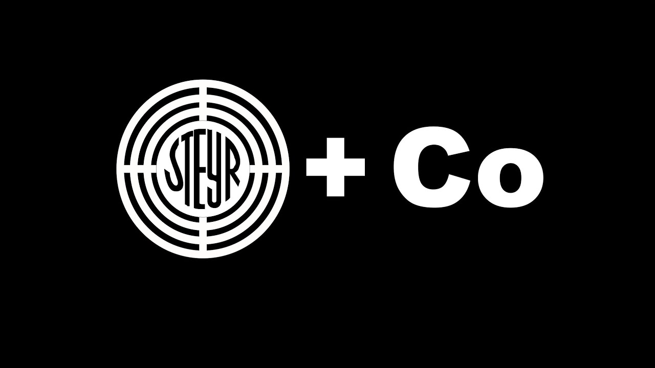 Steyr+Co