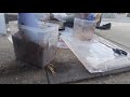 カブトムシ 幼虫マット交換動画 その４