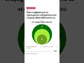 За кого гласуваха вишистите