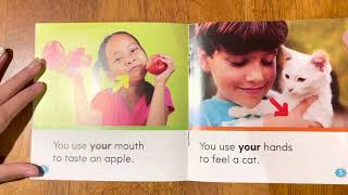 Nonfiction Sight Word Readers Level B