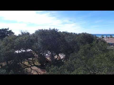 Beach Realty of Cape San Blas