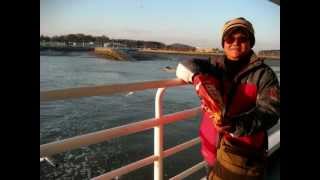 David Hsu sweet& happy photos