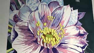 命をつなぐ・グラフィック展2023　作品紹介②