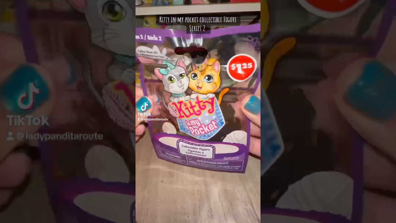 Kitty in my Pocket Collectible Figure Series 2