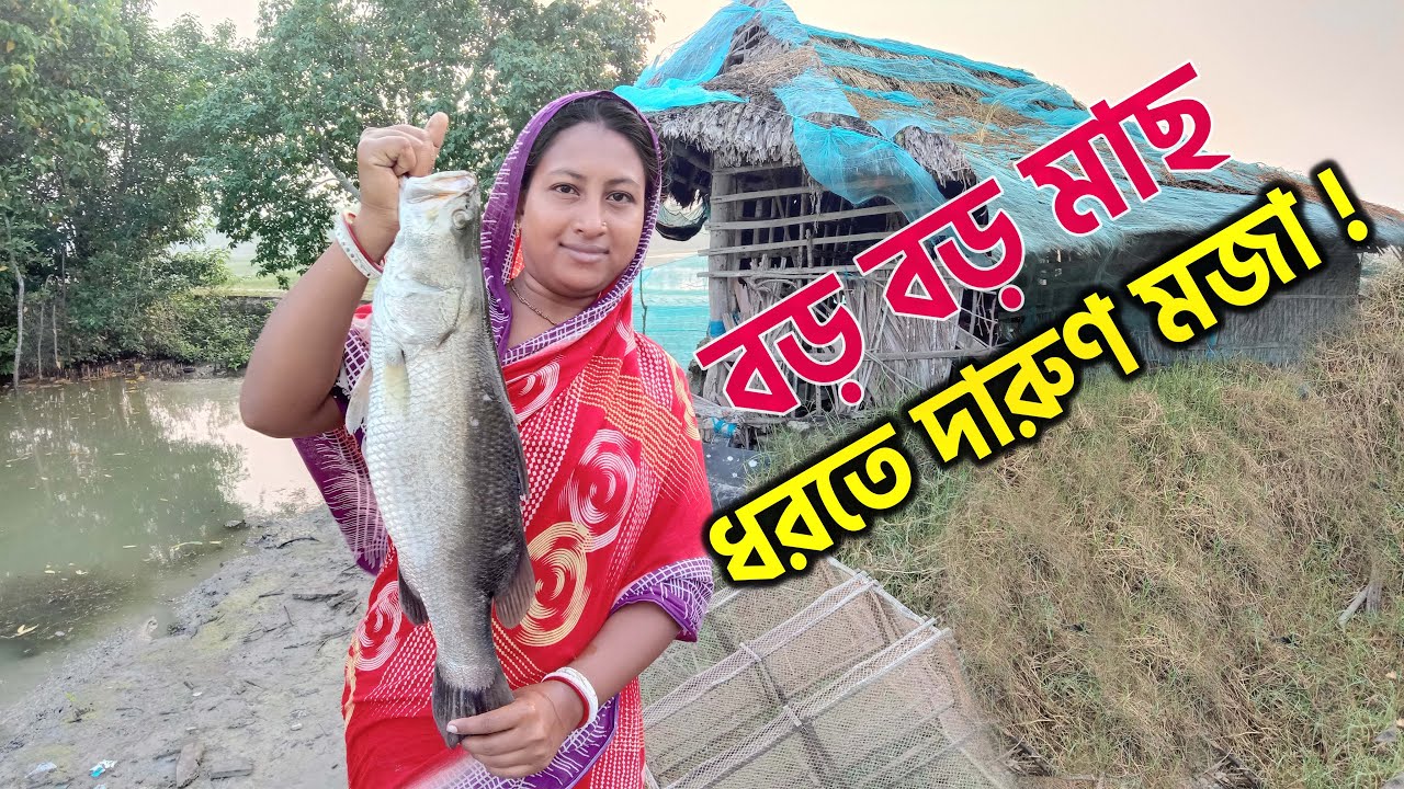 বড় ভেটকি মাছ ঘেরের জলে আমার কাছে ভাবতে অবাক লাগে! || Adventurer River ...