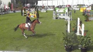 Stal Krabbebos De Mans Vicky D