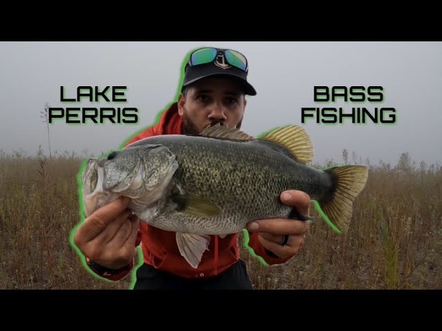 Topwater Fishing At Lake Perris - Youtube