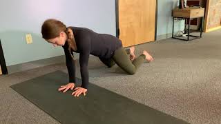 Lateral Plank Walk - Modified