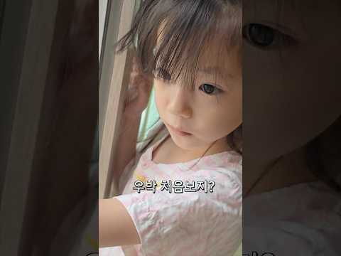 <strong>우박</strong> 처음 본 예설이 반응 ㅋㅋ