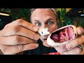 INSANE MUTATION SNAKE HATCHING!! SNAKE EGG CUTTING!! | BRIAN BARCZYK