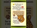Não meche comigo que eu tô no modo felina ativado #ModoSelvagemAtivado #AutoestimaNasAlturas