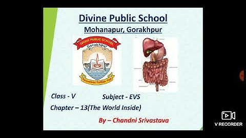 Class-V,Sub-EVS,Ch-13(The World Inside) By- Chandni Srivastava