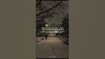 سورة مريم - ياسر الدوسري #سورة_مريم #ياسر_الدوسري