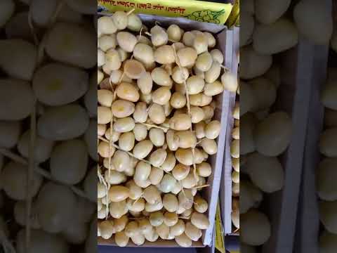 أسعار البلح البرحى فى سوق العبور