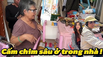 Bất ngờ khán giả bức xúc điện thoại bà út mẹ chồng chim sâu nói bà dã tạo