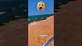 Deniz Neden Kirmizi Olur? 🌊🧐😱