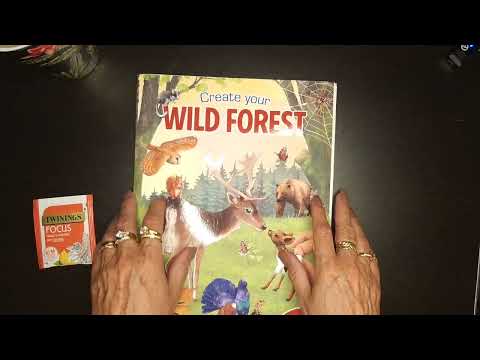 relaxing asmr/wild forest/stickers/part 1