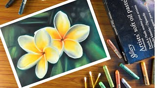 How to draw oil pastel flower | realistic plumeria flower drawing with oil pastels - step by step. screenshot 1