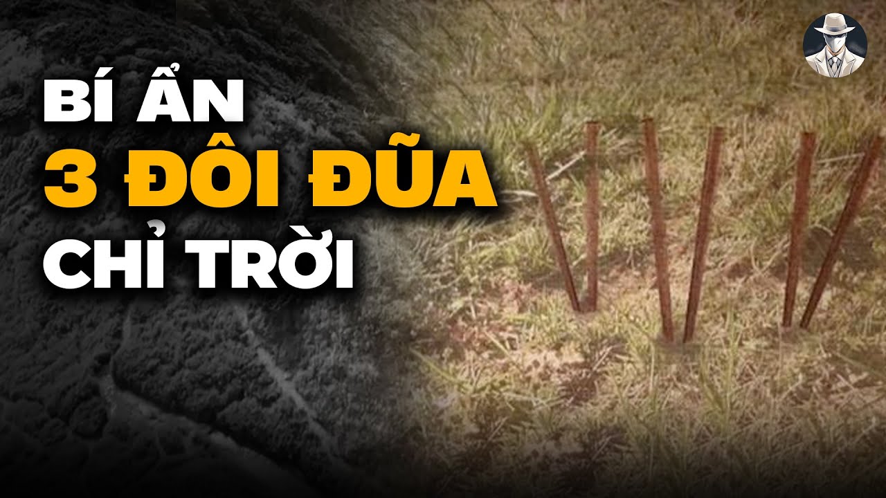 Vụ Án Kỳ Lạ Nhất Trên Kỳ Lai Sơn - Người Con Mất Tích Xuất Hiện Trên Vách Núi