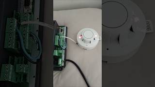 Apollo Discovery Optical Smoke Detector Test
