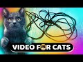 Cat games  paracord string for cats to watch  cat tv  1 hour