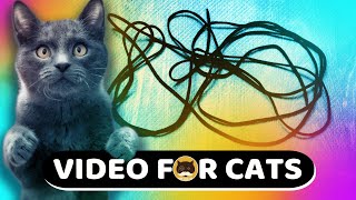 CAT GAMES  Paracord String. Video for Cats to Watch | CAT TV | 1 Hour.