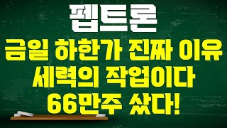 [펩트론 주가전망] 일라이릴리의 배신?! 오히려 큰 그림! 세력의 작업이다! 11월 22일 패턴 반복 하한가에 66만주 매수 이후 결국 다시 올린다