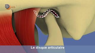 Atm Mouvement Normal