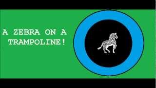 Zebra Joke Bouncy Zebra