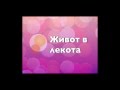 Медитация Лекота 2 2 Ясен Николов
