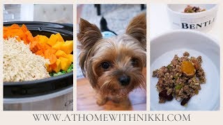 HOMEMADE SLOW COOKER DOG FOOD RECIPE