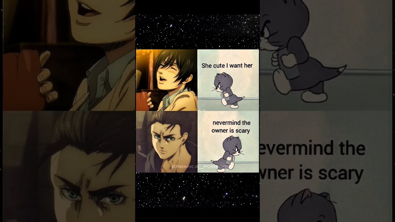 The Owner Is Eren Mikasa Eremika Aot Anime Love Fyp