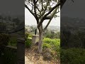 San Diego views
