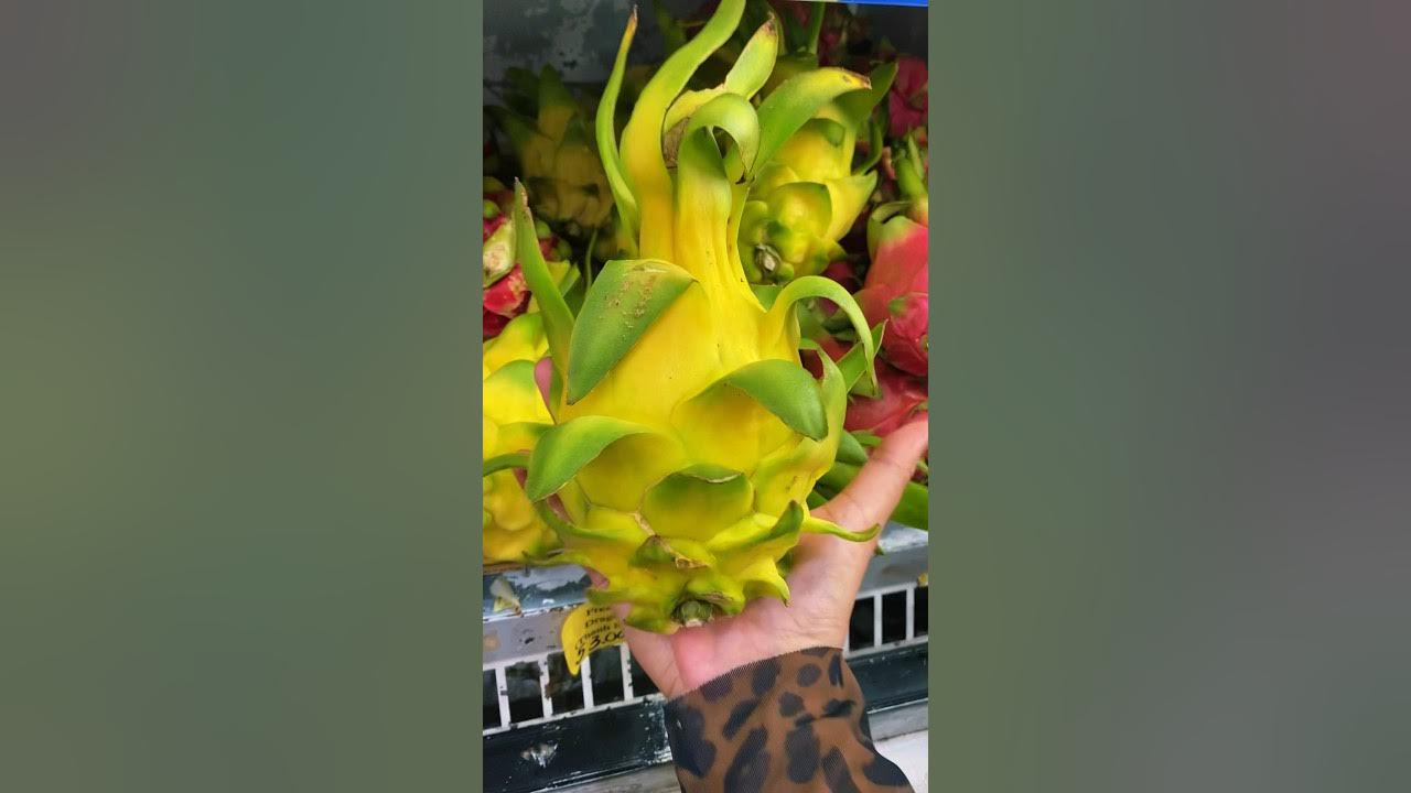 Покупаю три вида драгон фрута. Самый инопланетный на вид фрукт # ...