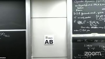 BSS2023, David Huse, Thermalization and many-body localization II, July 4