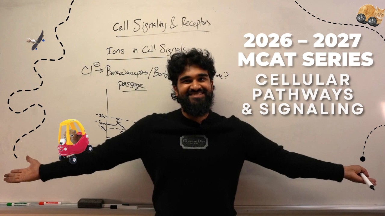 MCAT Biology High Yield: Cellular Pathways & Signaling