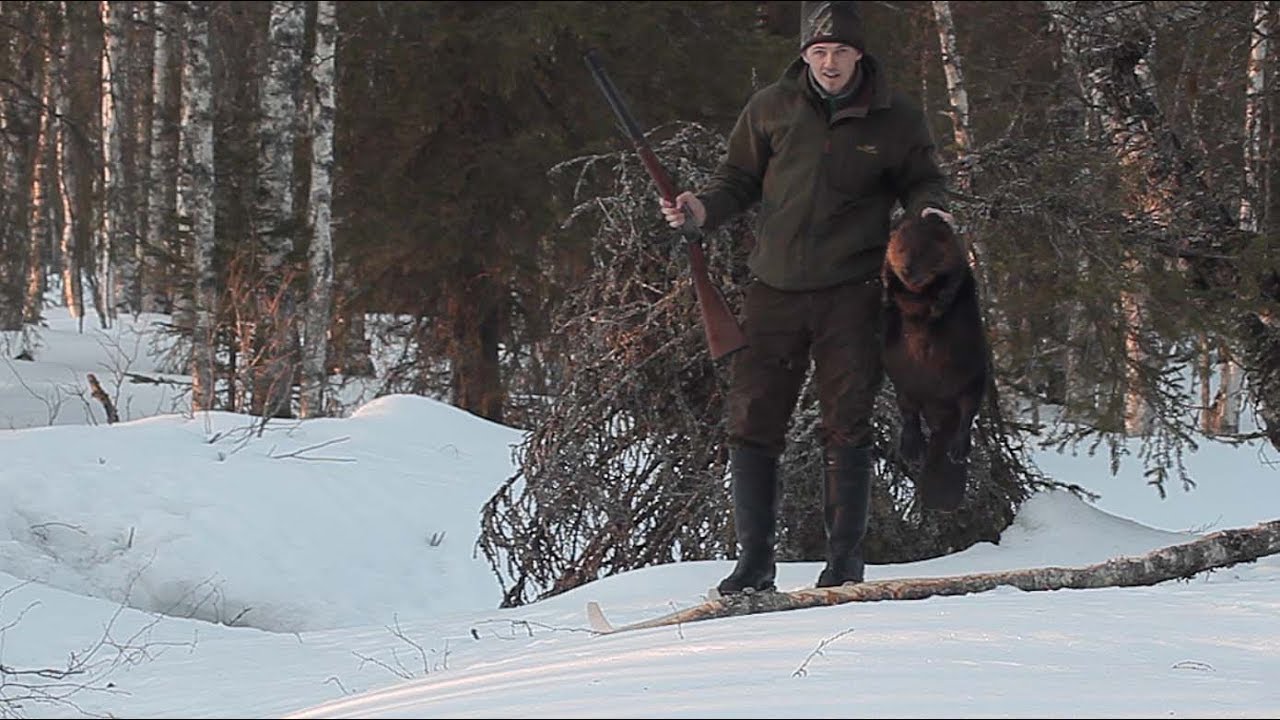 Majavan metsästys 2017 Beaver hunting in finland YouTube