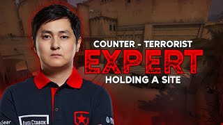 CT Expert : Hobbit Holding A site on Mirage