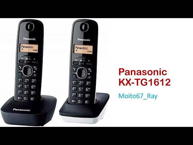 Teléfono Fijo Inalámbrico Panasonic KX-TG1612FRH con Contestador y