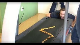 Dani & Jay try to eat goldfish off a treadmill