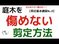 【剪定基本講座No.8】庭木を傷めない剪定位置と癒合剤【おすすめ剪定癒合剤】