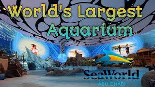 SeaWorld Abu Dhabi | World's Largest Aquarium | Marine life theme park #seaworld  #dolphinshow