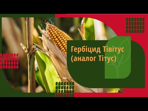 Гербіцид Тівітус (аналог
