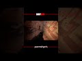 BODYCAM - ΧΟΡΟΠΗΔΗΧΤΟΣ