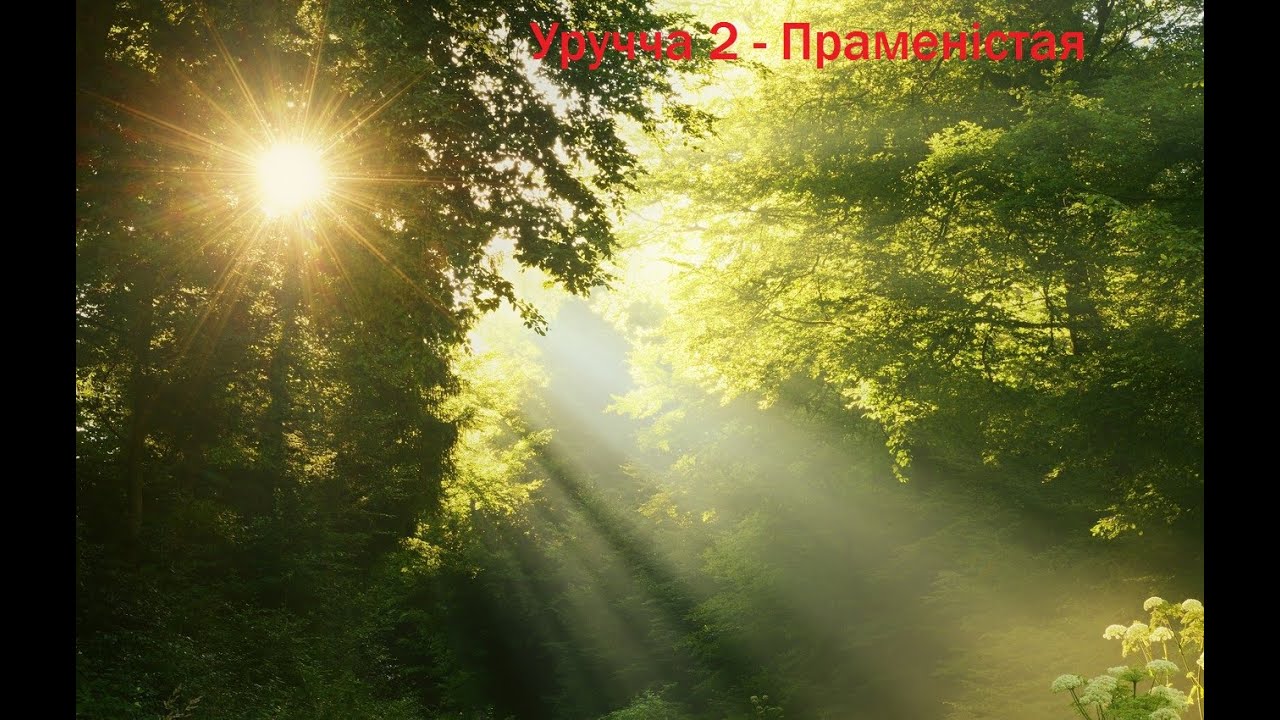 Маршрут 194С. ДС 