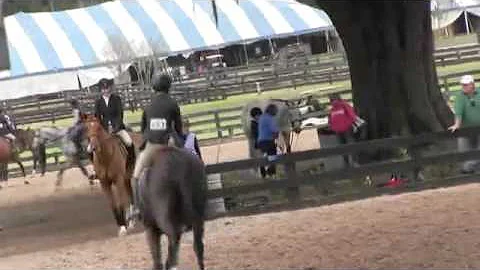 Video of Donder ridden by Clara Bechtold from Show...
