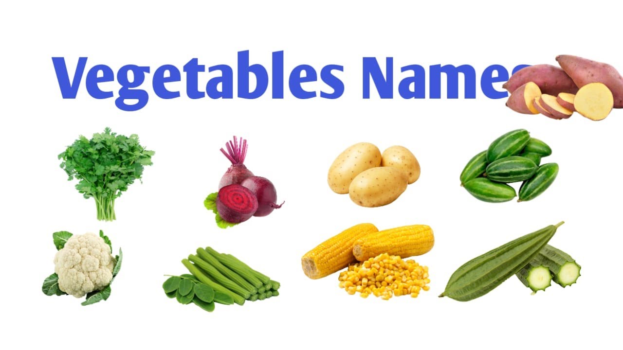 Vegetables Names Vegetable Name Learn Vegetable Names vegetables vegetables-names-vegetable-name-learn-vegetable-names-vegetables
